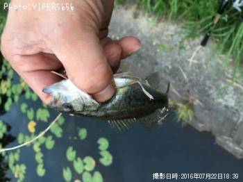 �֥�å��Х�