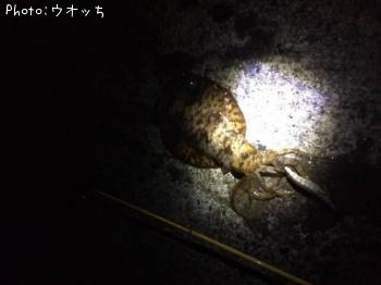 �����ꥤ��