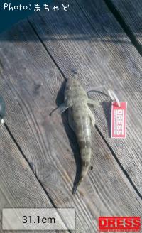 �����̥��̡ڥߥʥߥޥ�����