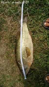 �֥�å��Х�