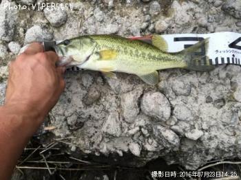 �֥�å��Х�