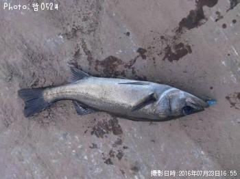 �������Х�