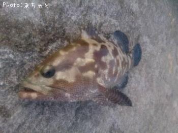 �����顼�ߡ��Х��ڥޥ���ϥ���