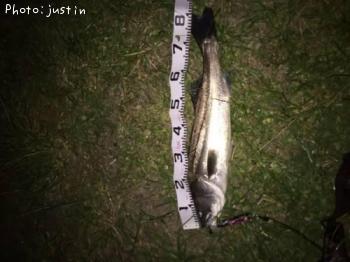 �����Х�