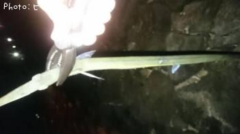 ����