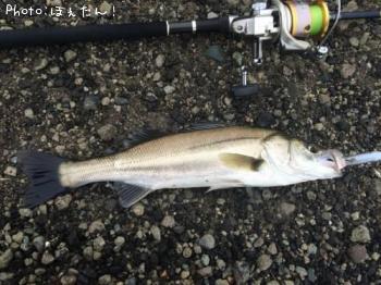 �����Х�