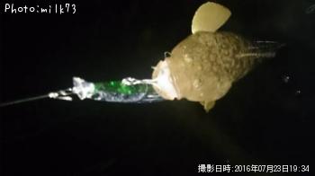 �ޥ���