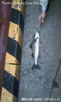 �����Х�