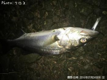 �����Х�