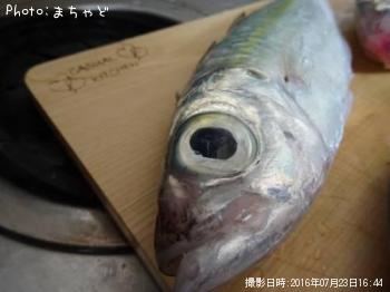 �������ڥᥢ����