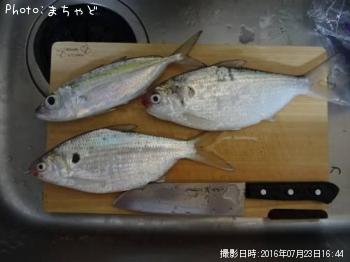 �������ڥᥢ����