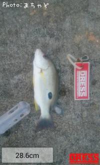 �������ڥᥢ����