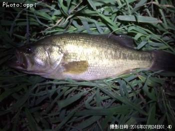 �֥�å��Х�