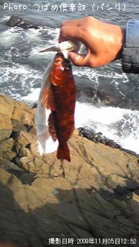 �����ʥ�