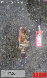 �����顼�ߡ��Х��ڥޥ���ϥ���