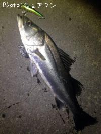 �����Х�