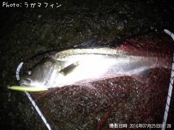 �����Х�