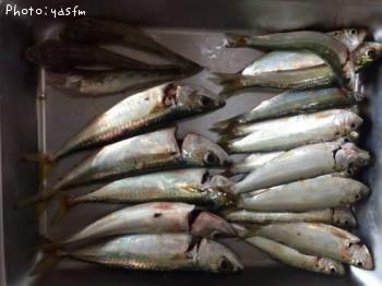 ���åѡ����С��ϥ�