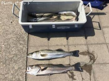 �����Х�