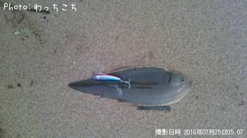 �����Υ���