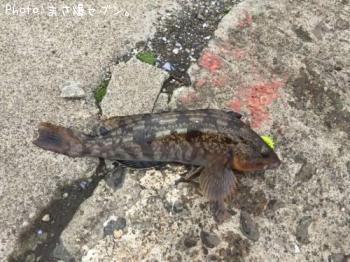 �����ʥ�