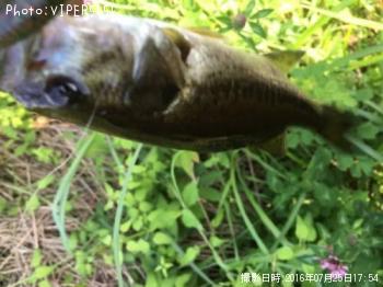 �֥�å��Х�