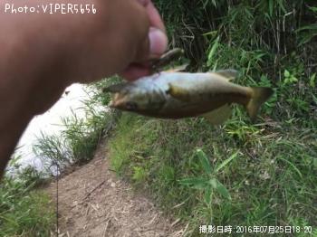 �֥�å��Х�