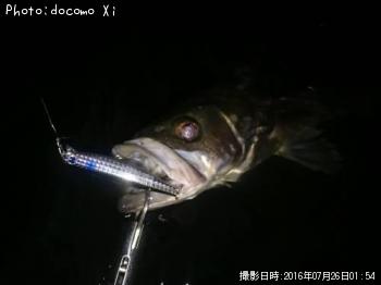 �����Х�