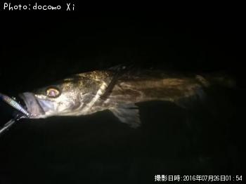 �����Х�