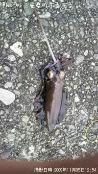 �����ꥤ��