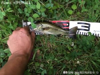 �֥�å��Х�