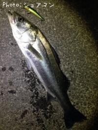 �����Х�