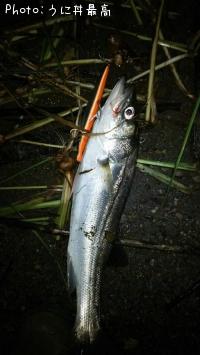 �����Х�