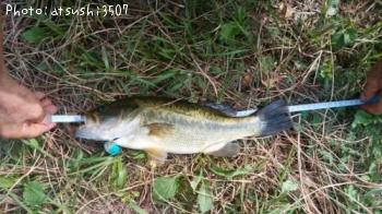 ¥Ö¥é¥Ã¥¯¥Ð¥¹