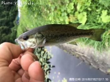 �֥�å��Х�