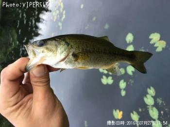 �֥�å��Х�