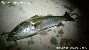 �����Х�