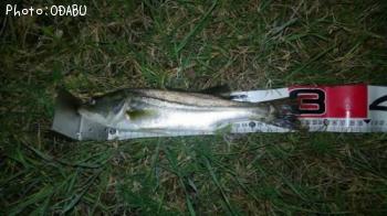 �����Х�