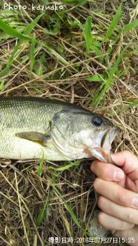 �֥�å��Х�