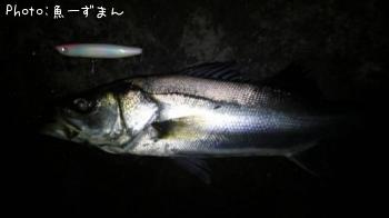 �����Х�