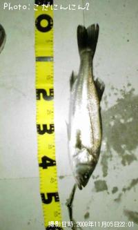 �����Х�