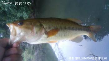 �֥�å��Х�