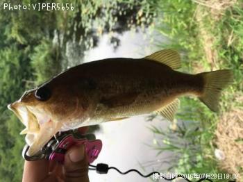 �֥�å��Х�