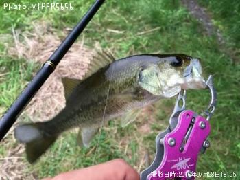 �֥�å��Х�