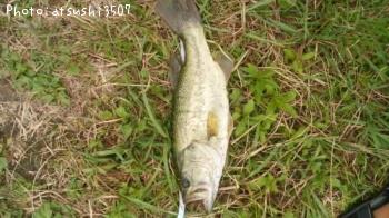 �֥�å��Х�