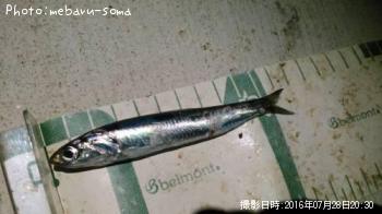 �����������亮