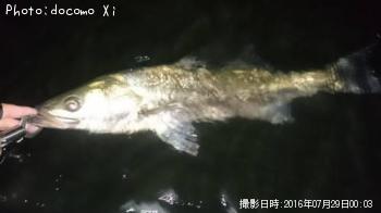 �����Х�