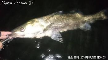 �����Х�