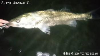 �����Х�