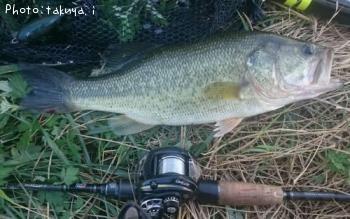 �֥�å��Х�